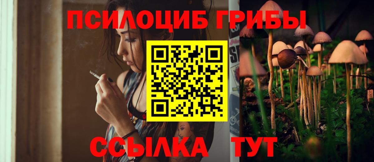 Галлюциногенные грибы Psilocybe  Галлюциногенные грибы мицелий  Кандалакша  Вход с VPN 